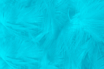 Beautiful  blue turquoise vintage color trends feather pattern texture pastel background