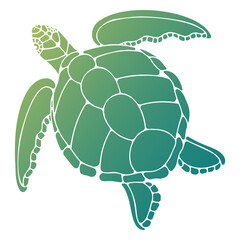 Vector illustration of a turtle