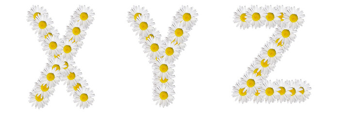 The letters X, Y, Z are made from chamomile flowers