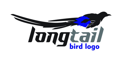 long tail bird logo exclusive design inspiration
