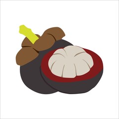 illustration of a mangosteen