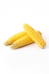 Corn cobs on white background