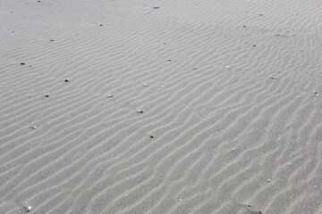 Obraz premium 砂浜の砂紋