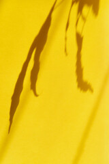 The shadows of the leaves of a home plant on yellow paper.