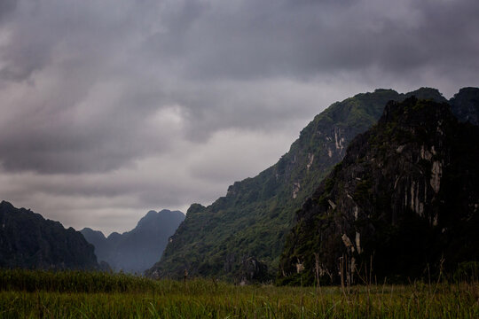 Van Long In Tam Coc Vietnam