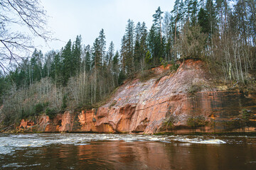 Highest devonian rock in Latvia - Kuku (Ķūķu) cliffs - 43 metres during gloomy autumn day by the...