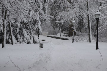Winter