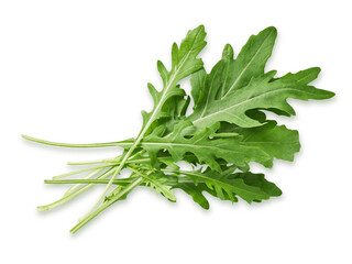 Arugula leaves isolated on white background, top view
