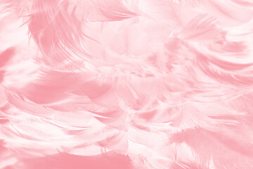 Fototapeta premium Coral pink vintage,feather pattern texture background,pastel soft fur for baby to sleep.