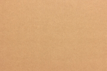 Uniform texture of a dense light cardboard sheet.