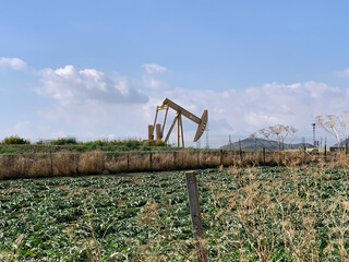 Extraction of gas and oil, site design © irbismarengo
