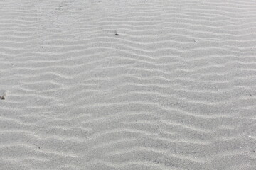 砂浜の風紋