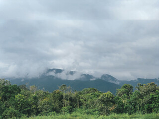 Mountains in the jungle | Ilhabela, Brazil | Travel Photography