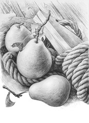 Still life with pears and rope - 420473782
