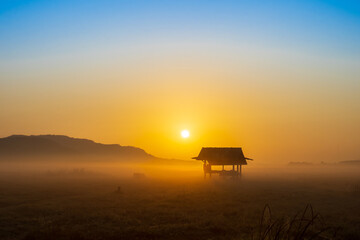 Silhouette of hut on the meadow and the morning mist 