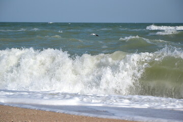 waves on the beach