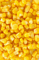 corn background