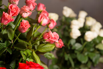 a bouquet of flowers in the background photo for Congratulations or an important opportunity