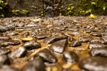 Wet stones. Texture background. Selected art focus. Blurred foreground and background. Copy space.