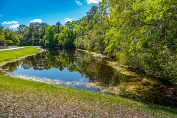 Unaerated Runoff Pond in a wetlands conservation area