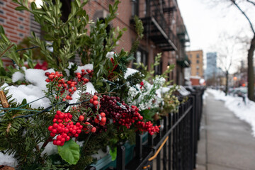 Fototapeta na wymiar Outdoor Christmas Holiday Pine Branches and Pine Cones with Red Berry and Light Decorations Covered with Snow Outside a Residential Building in New York City along a Sidewalk