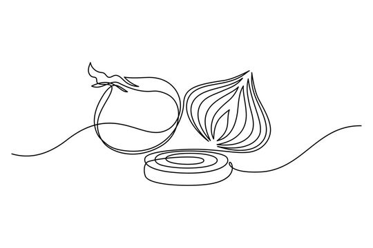 Onion in continuous line art drawing style. Onion whole bulb, half cut and ring sliced minimalist black linear sketch isolated on white background. Vector illustration