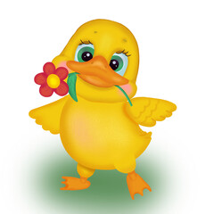 the duckling holds a red flower in its beak