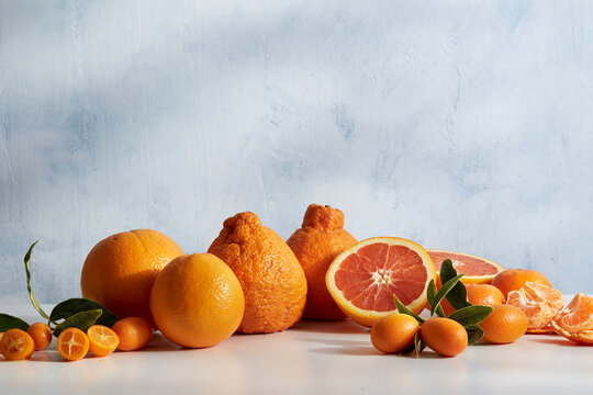 Citrus in Row
