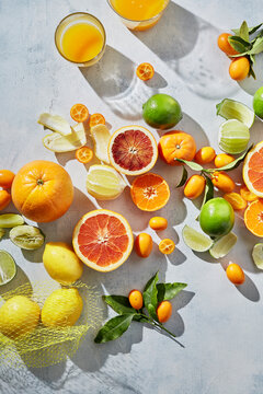 Citrus in Summer