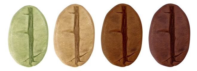 Coffee beans realistic set showing different stages of roasting isolated on white background. 3D illustration
