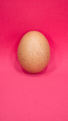 One chicken egg on a pink background. Copy space for text.