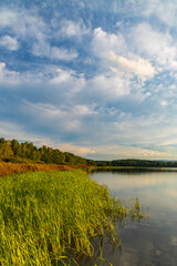 Fototapeta premium Nature reserve Rezabinec in Southern Bohemia, Czech Republic
