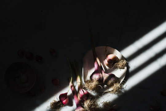 Garlic Bulbs Still Life