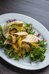pita bread with chicken and salat