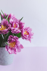 Tender violet tulips in a vintage pot on a pastel violet background. Greeting card for Women's day.