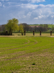 A walk at the Ruhrtalhang am Auberg in Muelheim an der Ruhr, North Rhine-Westphalia, Germany