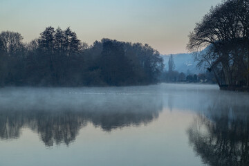 Mouettes dans le brouillard sur les falaises de Connelles, Normandie