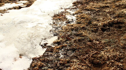  Valley with Melting Snow in Spring Season 