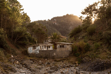 abandoned house surrounded by trees in an island