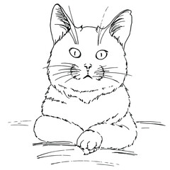 Thoughtful cat. Illustration in black and white. Can be used for many occasions such as greeting cards, children's illustrations, t-shirt designs, fabric samples and much more.