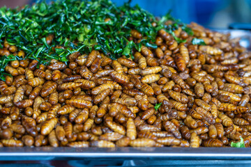 Fried silk worms delicious in street food in Thailand. Close up
