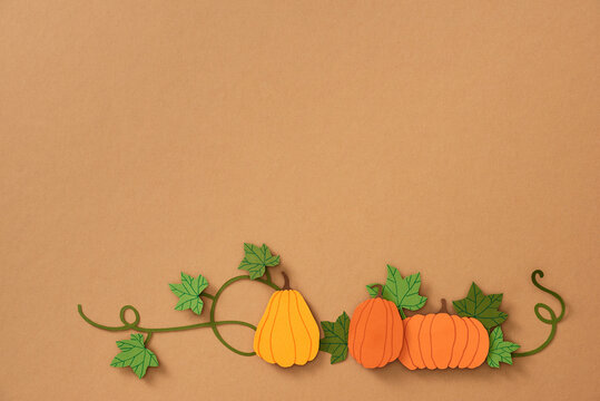Colorful pumpkins. Halloween or Thanksgiving concept