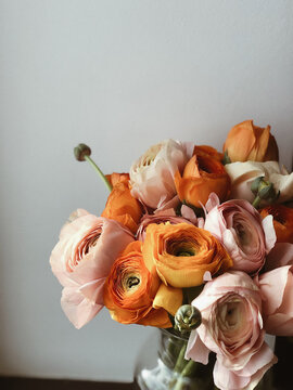 Beautiful bouquet of ranunculus in vase