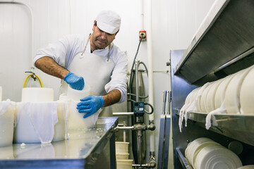 Employee in cheesemaking workshop