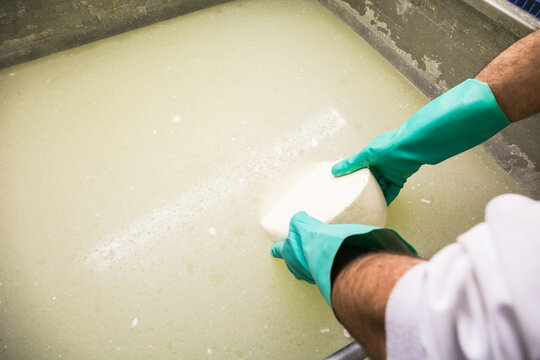 Crop man washing cheese in brine