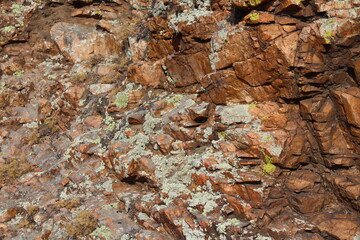 Weathered Rocks Background with Lichen Full Frame of Cliff 