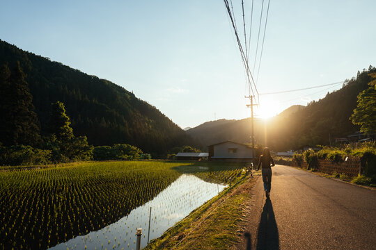 The Japanese Country Road