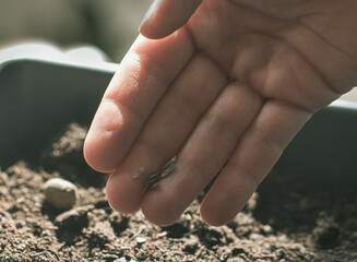 soil in hand