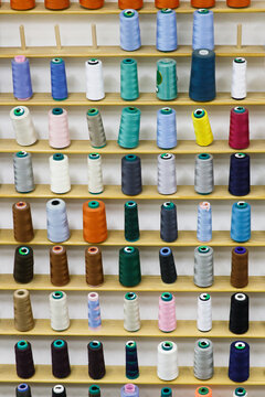 Part of items in atelier