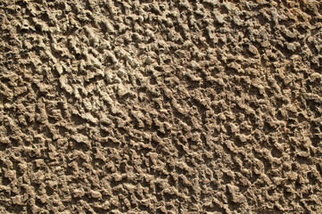 Wall with decorative plaster